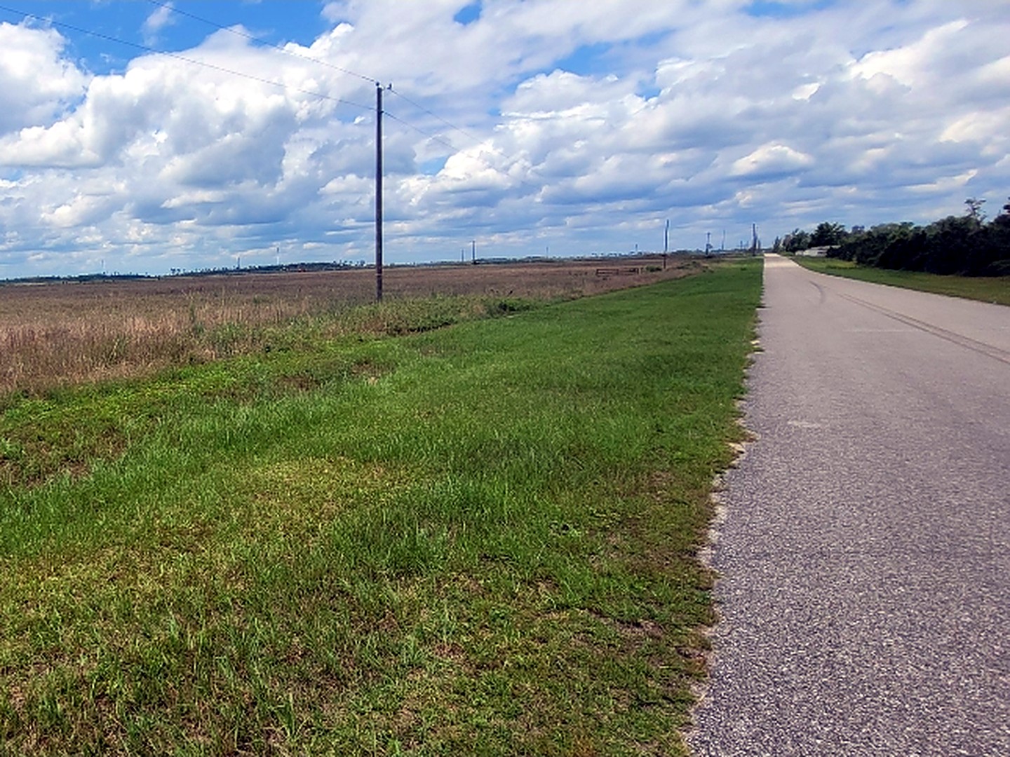 Open grassy acreage beside the paved road, with a power pole at the road